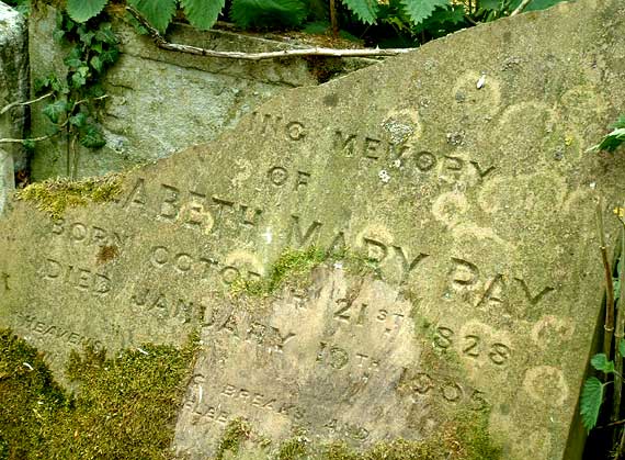 Elizabeth Mary Ray (1828 - 1905) grave at Tannington