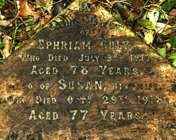 Ephraim and Susan (Goose) Culy grave