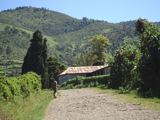 Mervyn Swire Ray's bungalow in Kinankop, Kenya